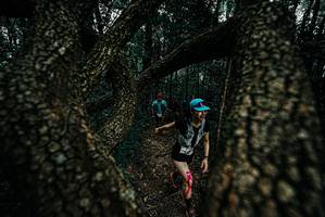 BIB: 
                            <button type="button" onclick="openModal(25690984)" class="btn btn-primary btn-sm float-right btn-popup" data-toggle="modal" data-target=".modal-high-quality">
                        <i class="fas fa-shopping-cart"></i> Add to Cart
                    </button>
                                            <button type="button" onclick="isThisMe(25690984, true)" class="btn btn-success btn-sm float-right btn-popup btn-isme hidden" data-toggle="tooltip" data-placement="bottom" title="นี่คือรูปของคุณใช่ไหม คลิกที่นี่เพื่อเอาเข้าอัลบั้ม">
                        <i class="fas fa-plus"></i> Add to album
                    </button>
                    <button type="button" onclick="isThisMe(25690984, false)" class="btn btn-warning btn-sm float-right btn-popup btn-isnotme hidden">
                        <i class="fas fa-ban"></i> Remove from album
                    </button>